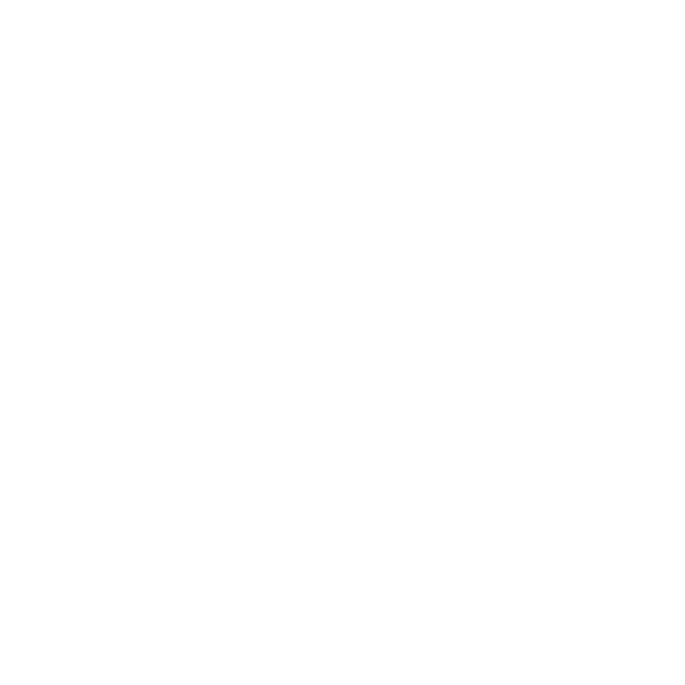 Servicii Curatenie Arad -