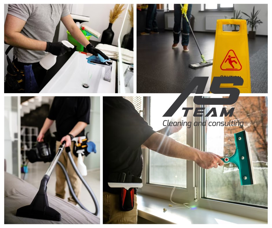 Curățenie la domiciliu Arad